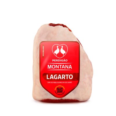 lagarto-resfriado-perdigao-montana-2